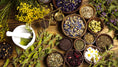 Load image into Gallery viewer, SELF-HEALING HERBAL CONSULTATION (45 minutes)