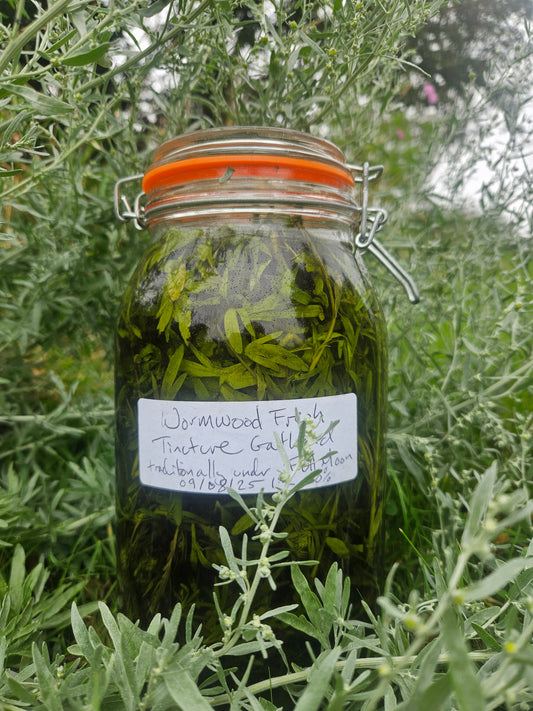 Wormwood Tincture, Fresh, Irish