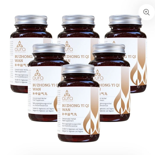 Bu Zhong Yi Qi Wan (Ginseng & Rhizome) - 6 x 60 tablets