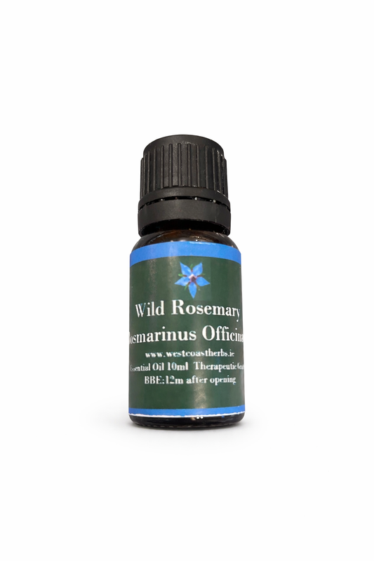 Rosemary Wild Essential Oil (Rosmarinus Officinalis)