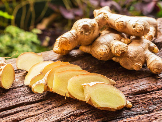 Ginger Tincture (fresh, organic)