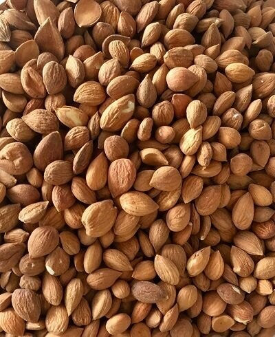 Apricot Kernels (Bitter)