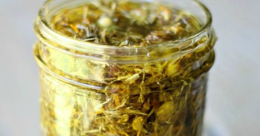 Arnica Ola