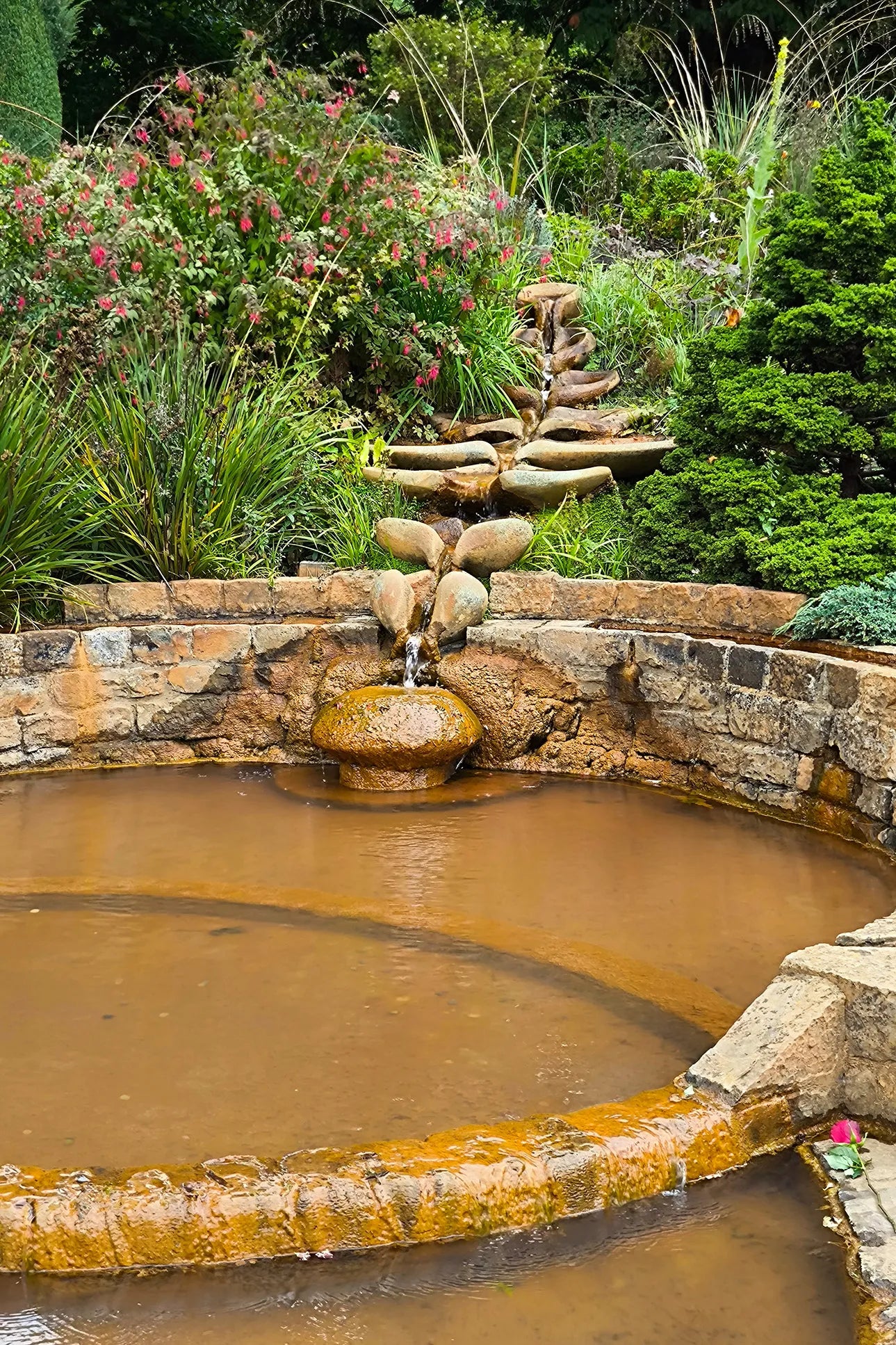 Happy Heart & Blood Balance