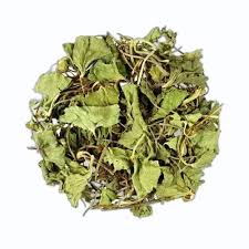 Brahmi