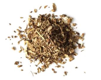 Butcher's Broom