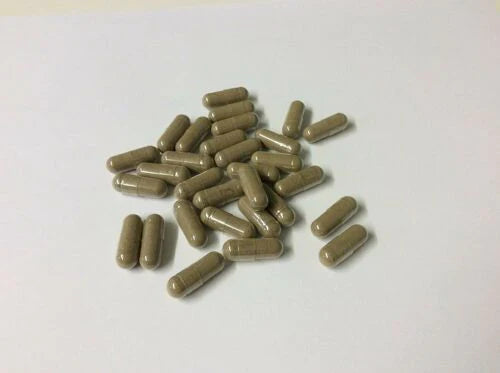 Lions Mane Extract Capsules (organic)