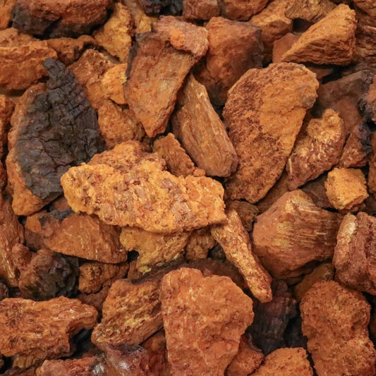Chaga Chunks (wild)