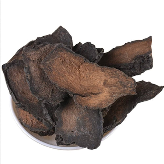 Cistanche deserticola