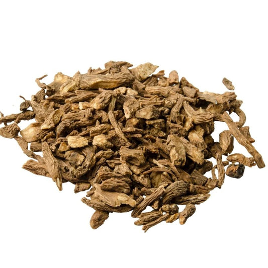 Dong Quai Root
