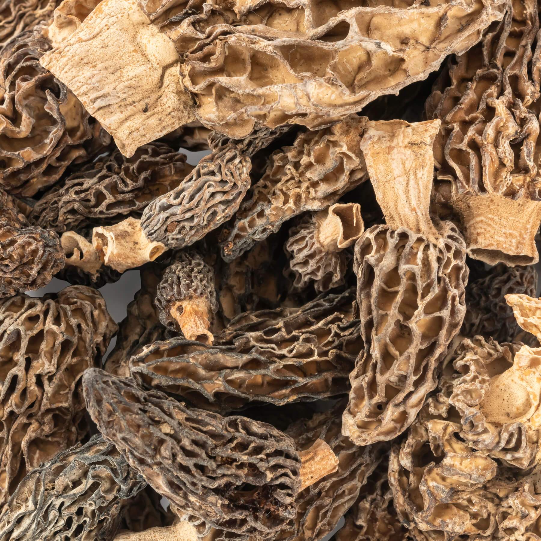 Dried True Morels