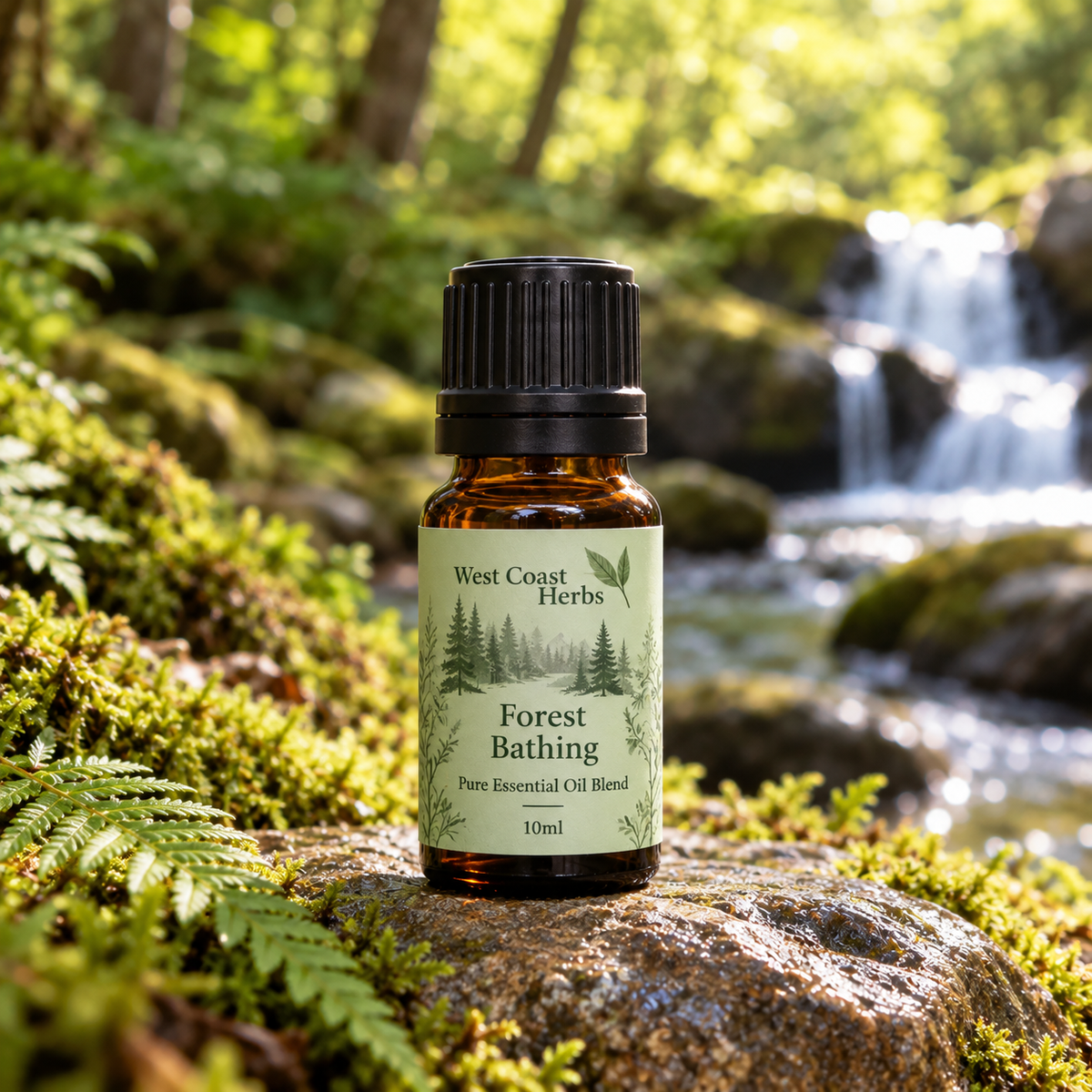 Forest Bathing Essential Oil Blend