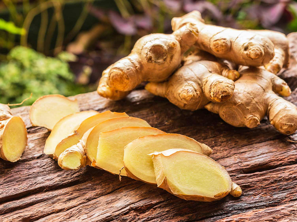 Ginger Tincture (fresh)