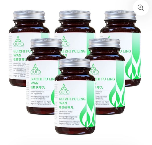 Gui Zhi Fu Ling Wan (Red Peony & Peach Kernel) - 6 x 60 tablets