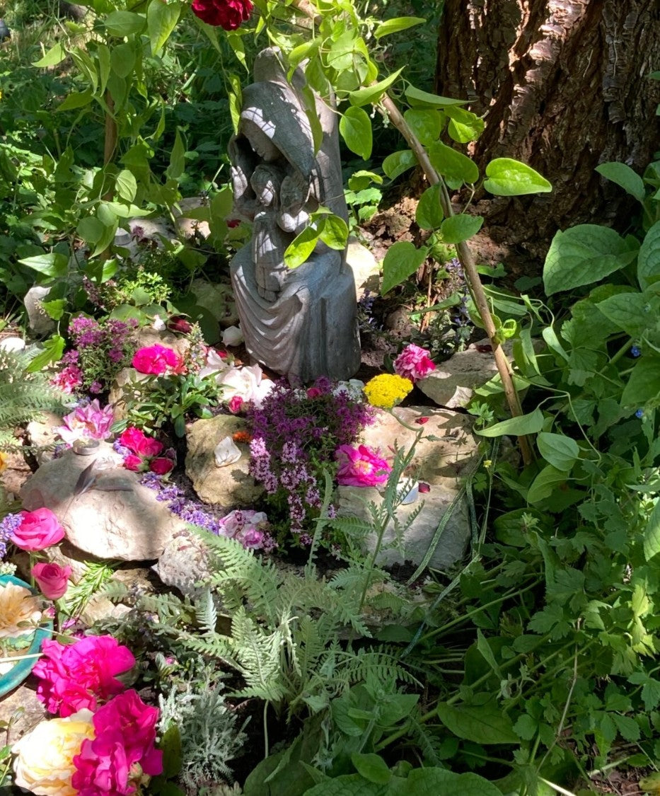 Pre & Post Operative Support