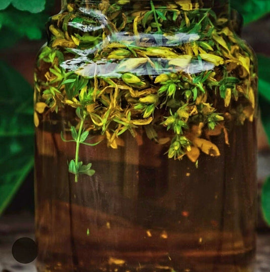 Herbal Safety by Herbalista - an e-product to view online or print at home (no physical item supplied)