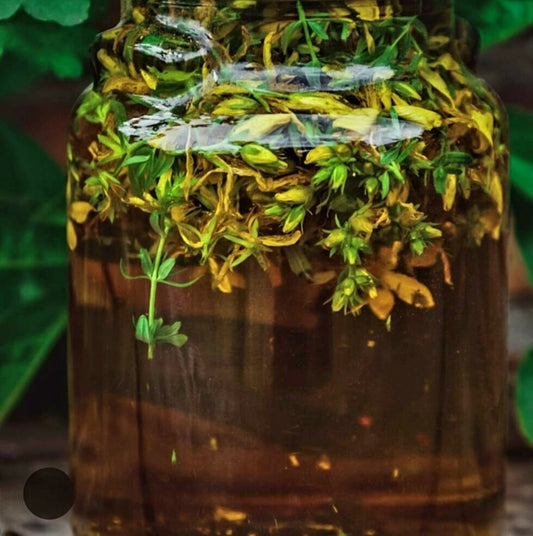 Herbal Safety by Herbalista