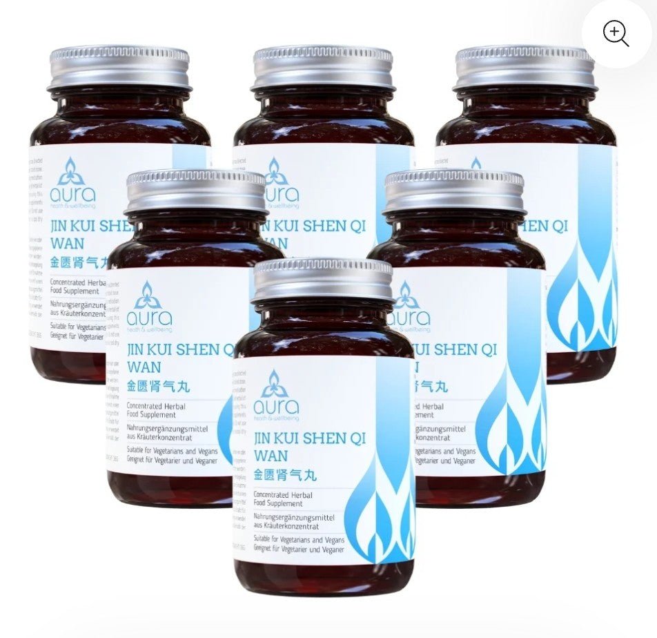 Jin Kui Shen Qi Wan (Rehmannia & Dogwood Fruit) - 6 x 60 tablets