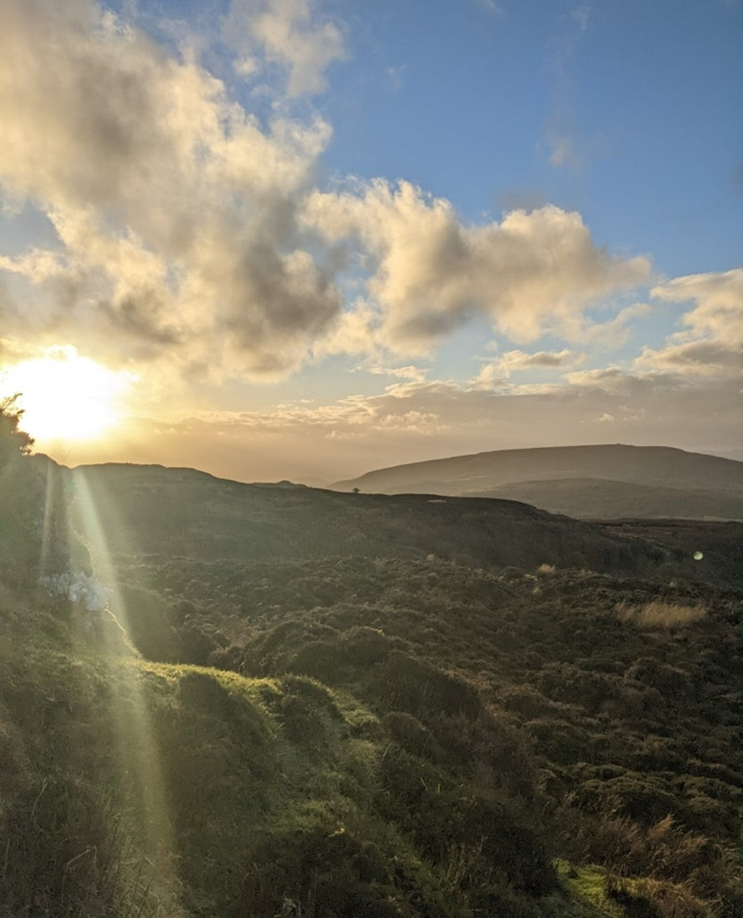 Joint Support Protocol