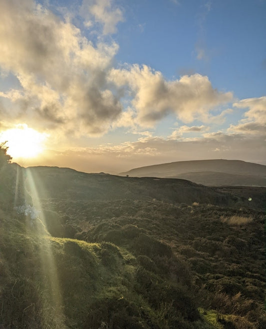 Joint Support Protocol