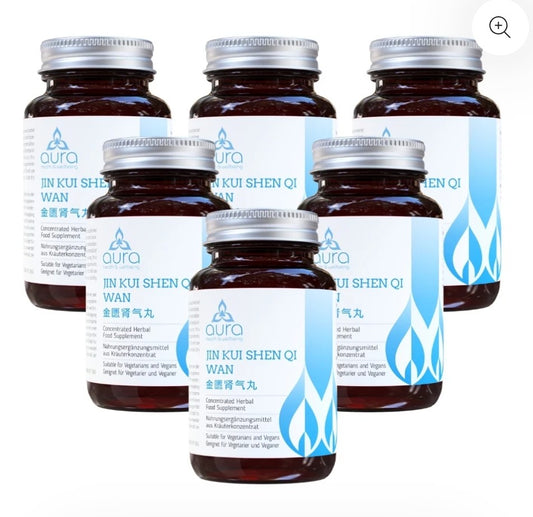 Jin Kui Shen Qi Wan (Rehmannia & Dogwood Fruit) - 6 x 60 tablets
