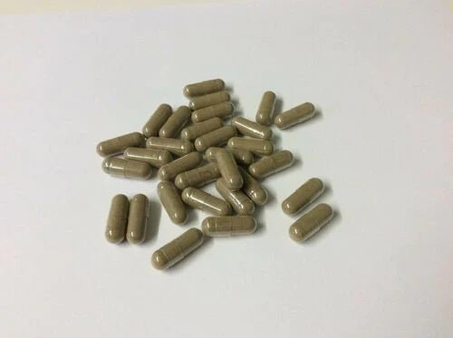 Lions Mane Extract Capsules