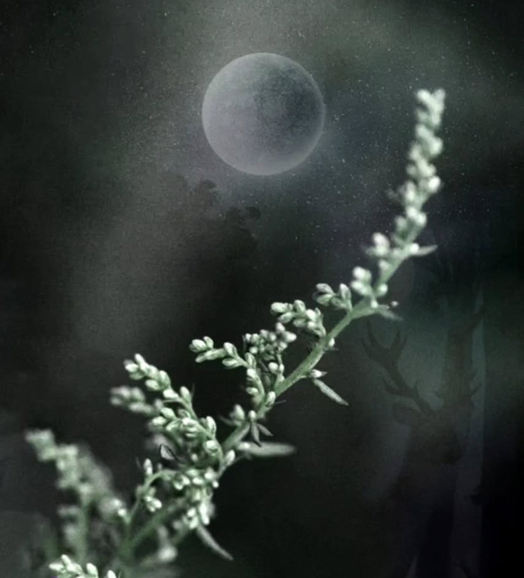 Unwanted Visitors Protocol