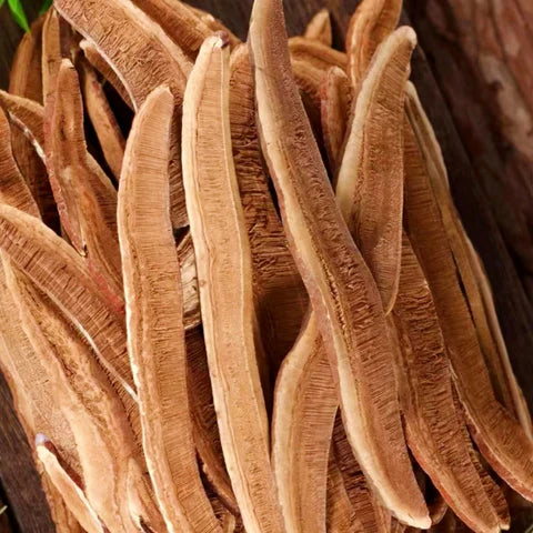 Reishi Mushroom Slices (organic)