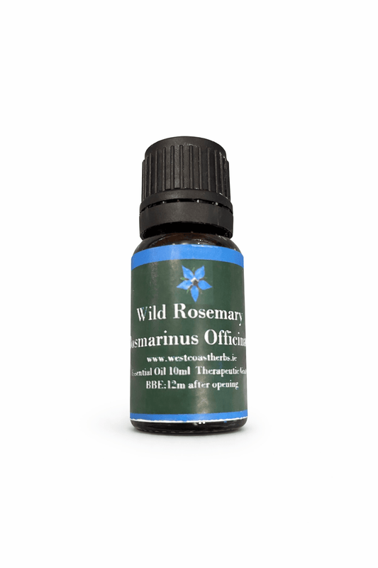 Rosemary Essential Oil (Rosmarinus Officinalis)