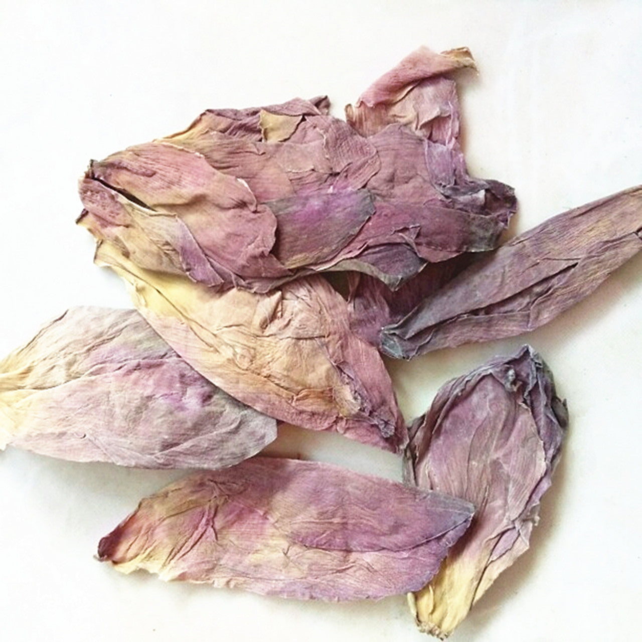 Sacred Lotus Flower Petals (wild, dried) Herbal Tea