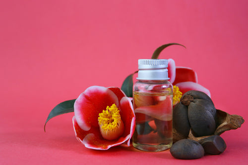Camellia Oil (Kissi) 250ml