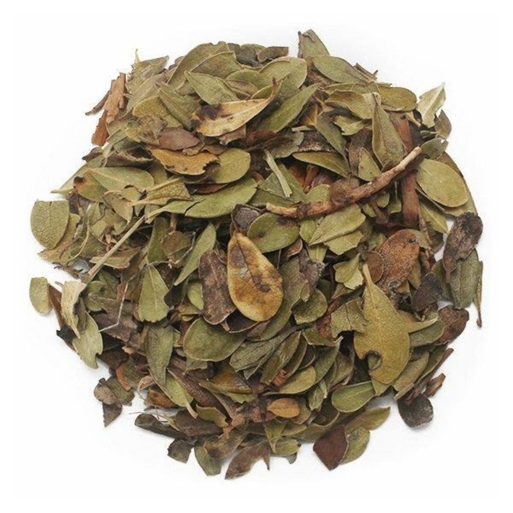 Uva Ursi
