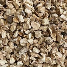 Wild Yam