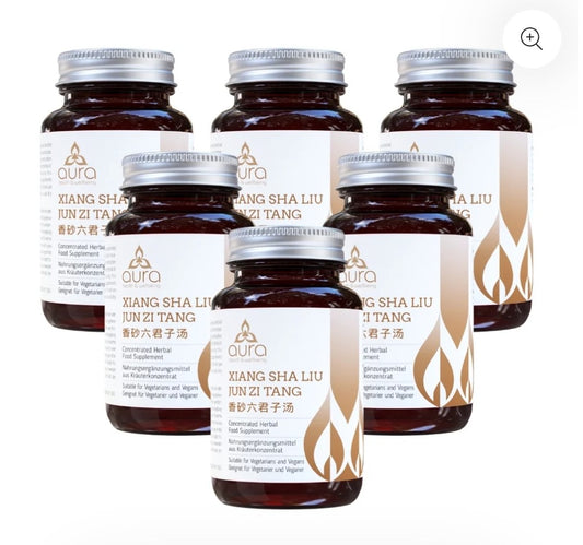 Xiang Sha Liu Jun Zi Tang (China Root & White Atractylodis) - 6 x 60 tablets
