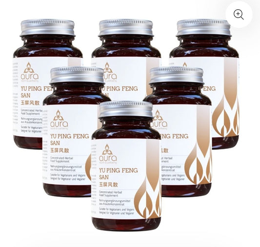 Yu Ping Feng San (White Atractylodis & Astragalus) - 6 x 60 tablets