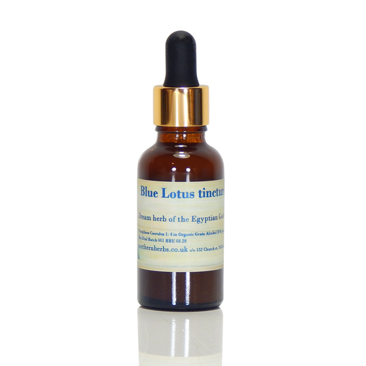 Blue Lotus Elixir (organic)