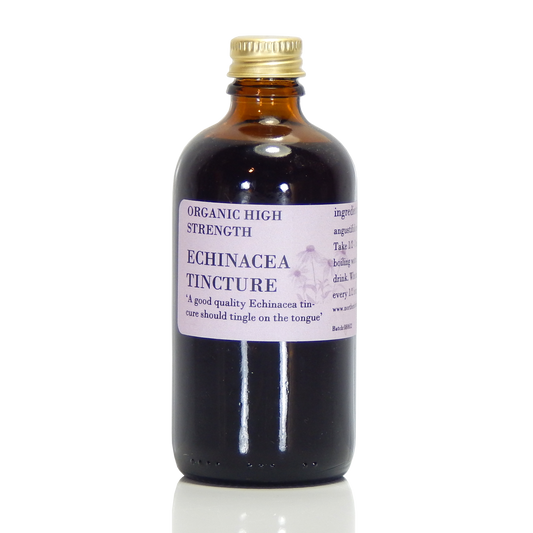 Echinacea Tincture (organic)