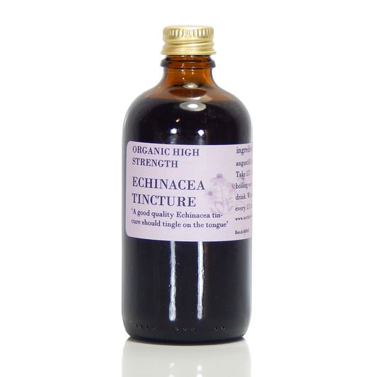Tincture Echinacea (orgánach)