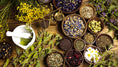 Load image into Gallery viewer, SELF-HEALING HERBAL CONSULTATION
