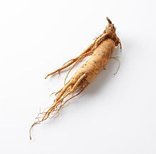 Ginseng Panax Tincture