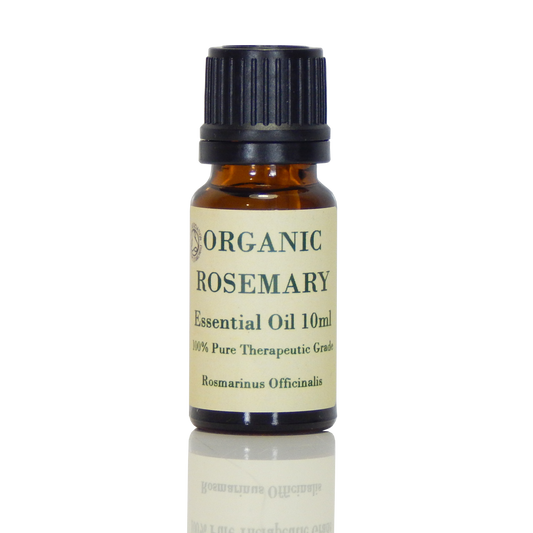 Rosemary (Organic) Essential Oil - Rosmarinus Officinalis