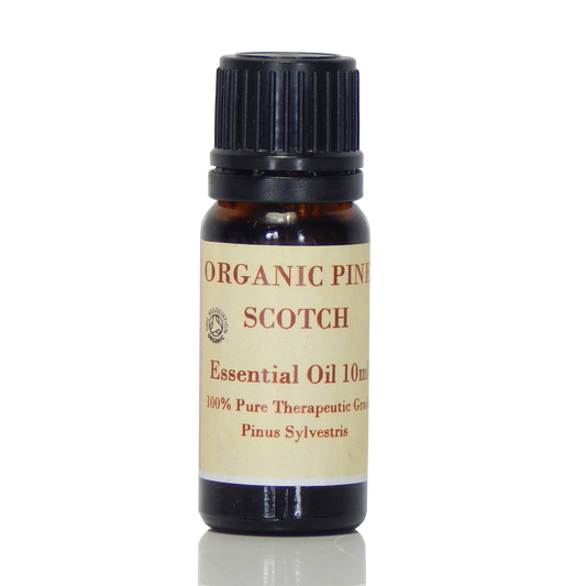 Pine, Scotch (Organic) Essential Oil ,Pinus sylvestris