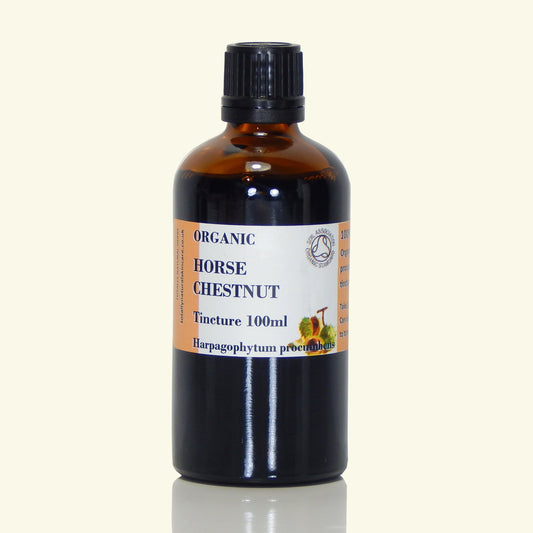 Horse Chestnut Tincture (organic)