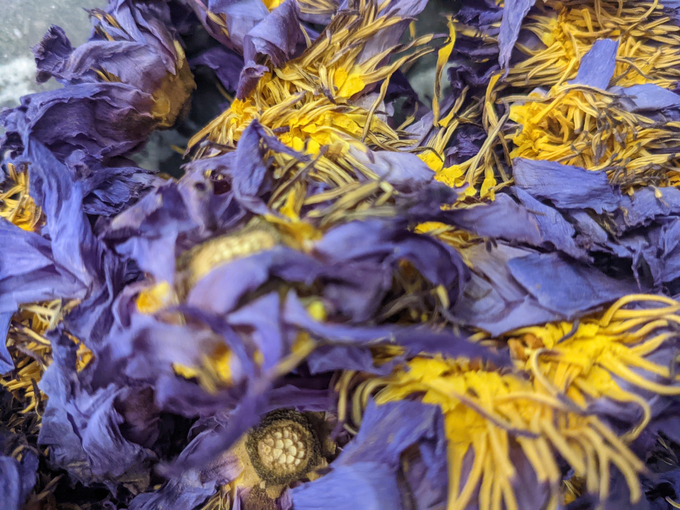 Blue Lotus (orgánach, roghnaithe de láimh i Srí Lanca)