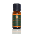 Load image into Gallery viewer, Black Spruce Essential Oil
