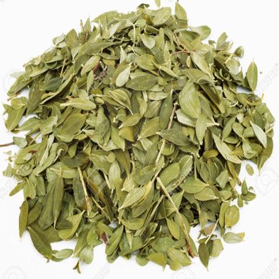 Buchu Leaf