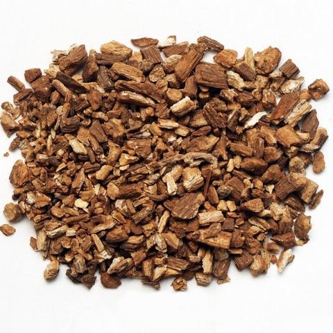 Burdock Root