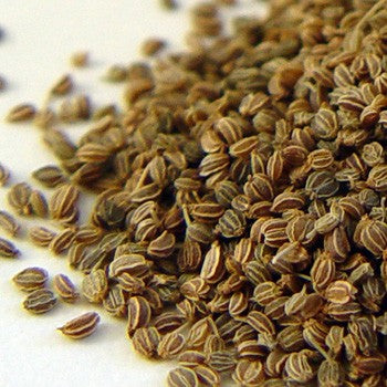 Celery Seed Tincture