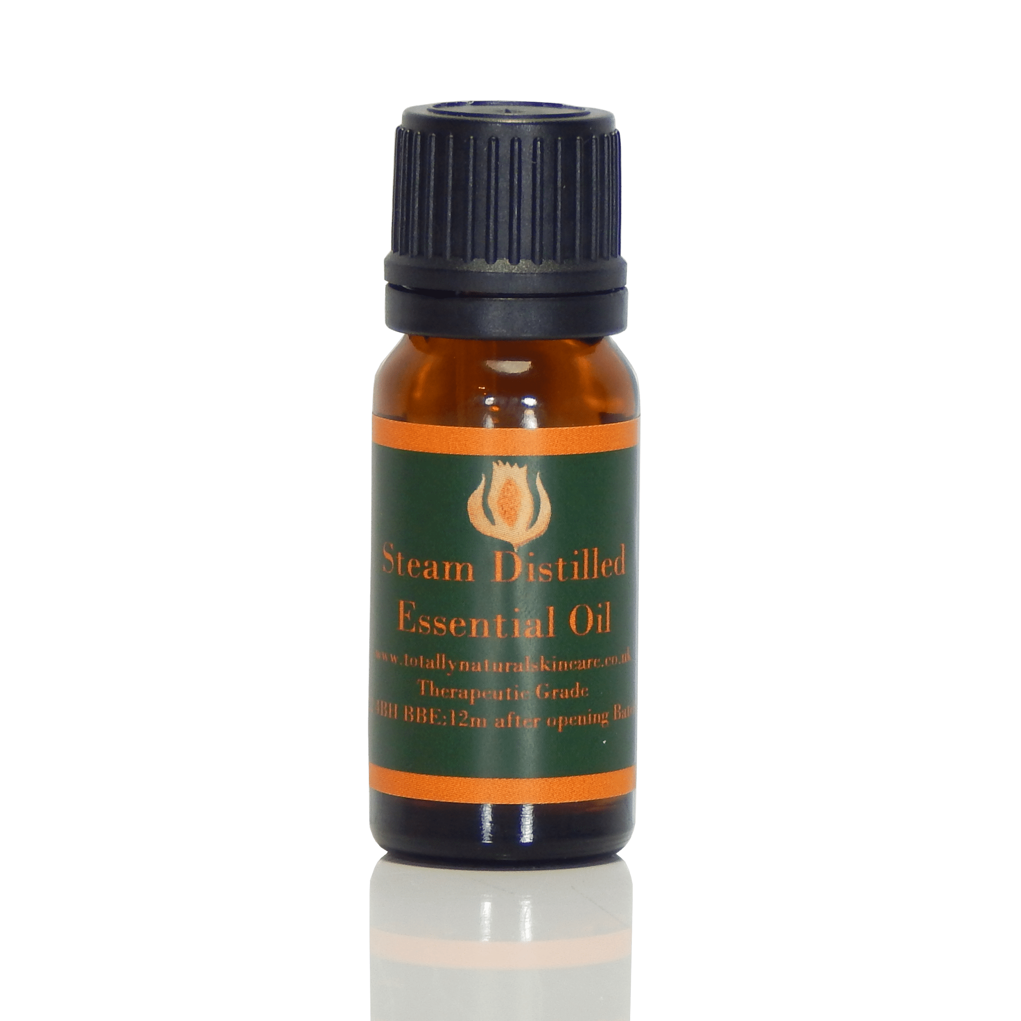 Cinnamon Leaf Organic - Cinnamon Zeylanicum