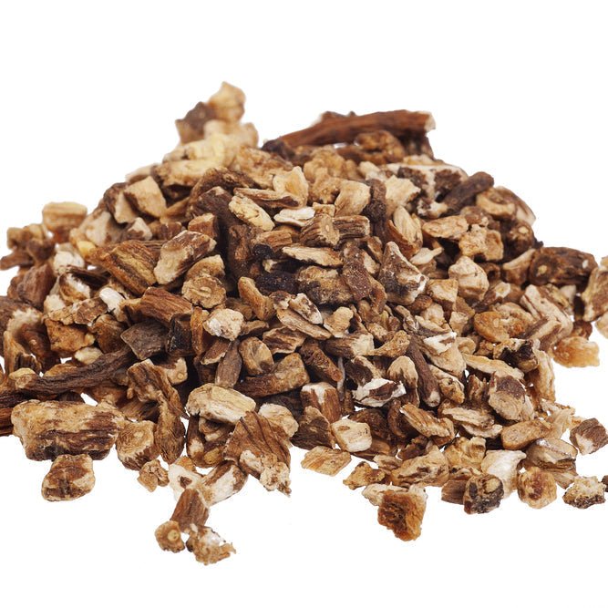 Dandelion Root
